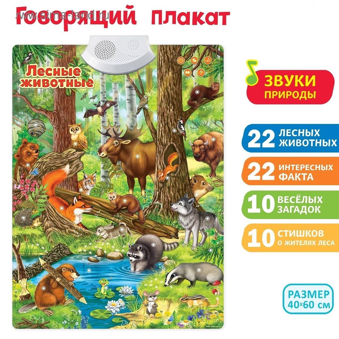 🗒 ИНТЕРАКТИВНЫЙ АУДИОПЛАКАТ «Лесные животные»